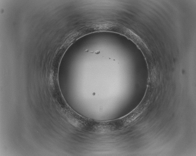 X0000069380209200605150926