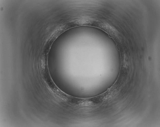 X0000069380210200605150926