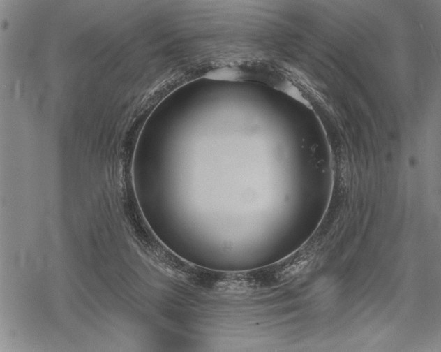 X0000069380211200605150926