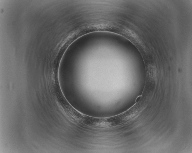 X0000069380212200605150926