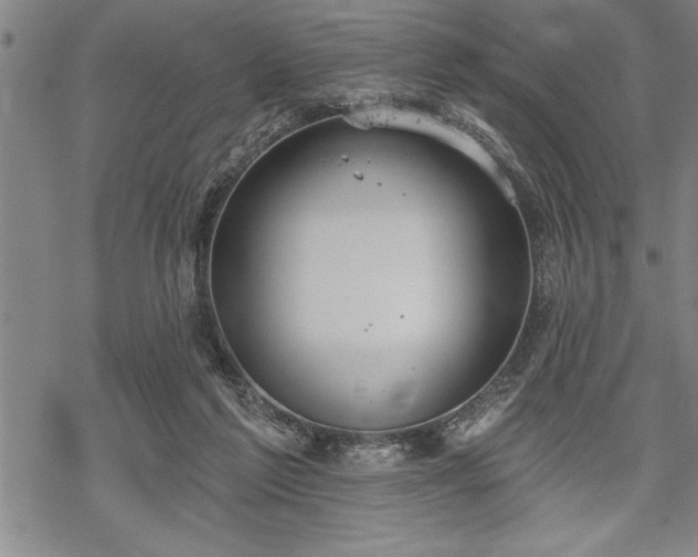 X0000069380213200605150926