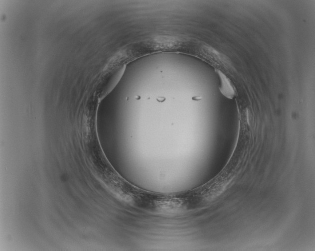 X0000069380215200605150926