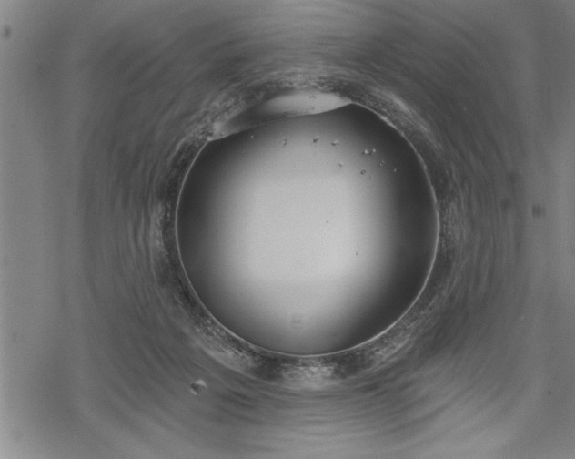 X0000069380217200605150926