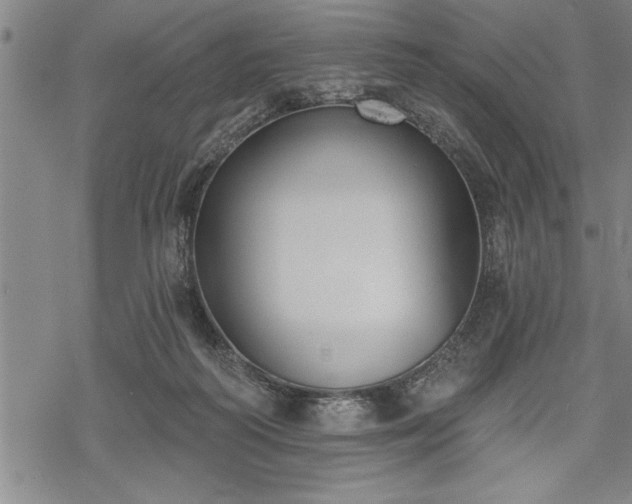 X0000069380218200605150926