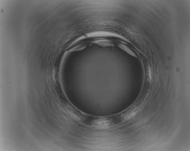 X0000069380219200605150926