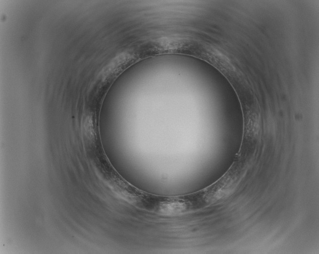 X0000069380220200605150926