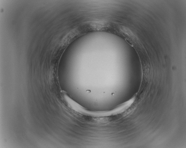 X0000069380221200605150926