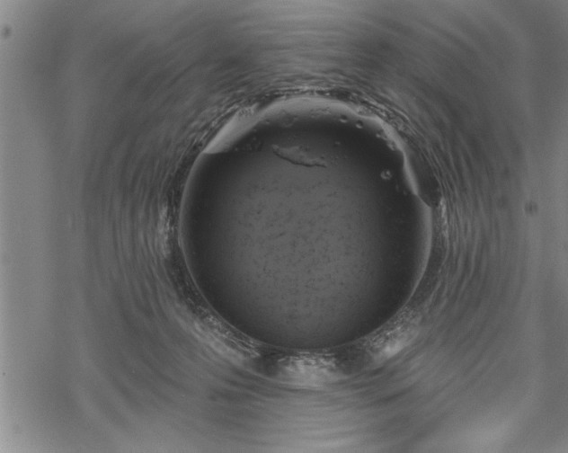 X0000069380223200605150926