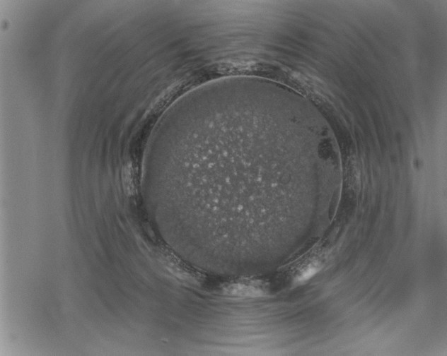 X0000069380224200605150926