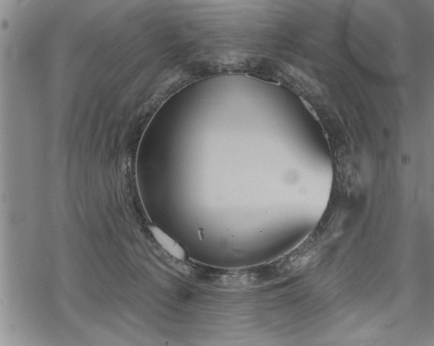 X0000069380225200605150926