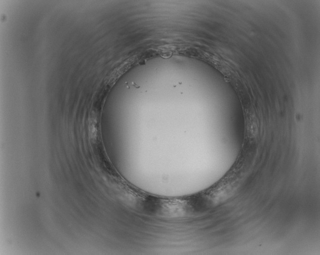 X0000069380226200605150926