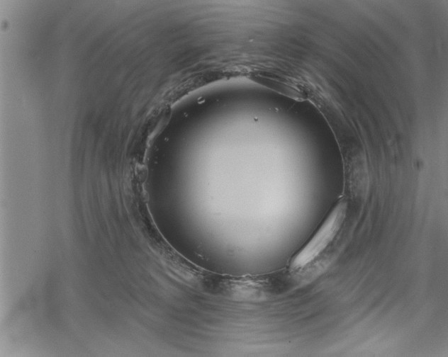 X0000069380229200605150925