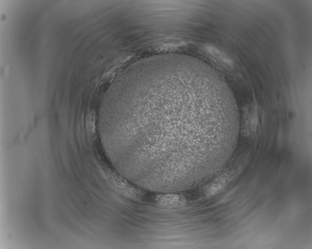 X0000069380230200605150925