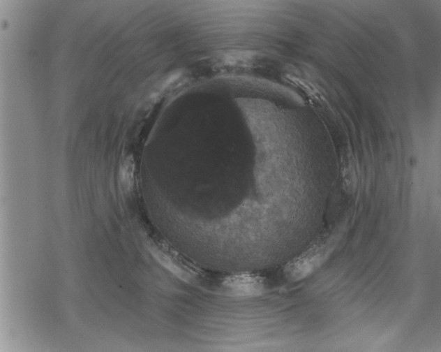 X0000069380231200605150925