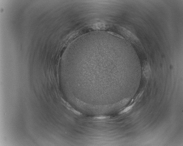 X0000069380233200605150925