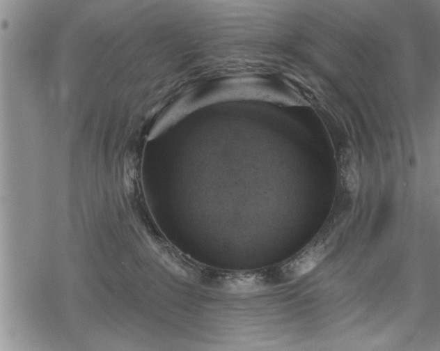 X0000069380235200605150925