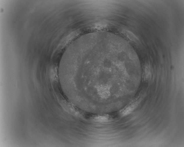 X0000069380236200605150925