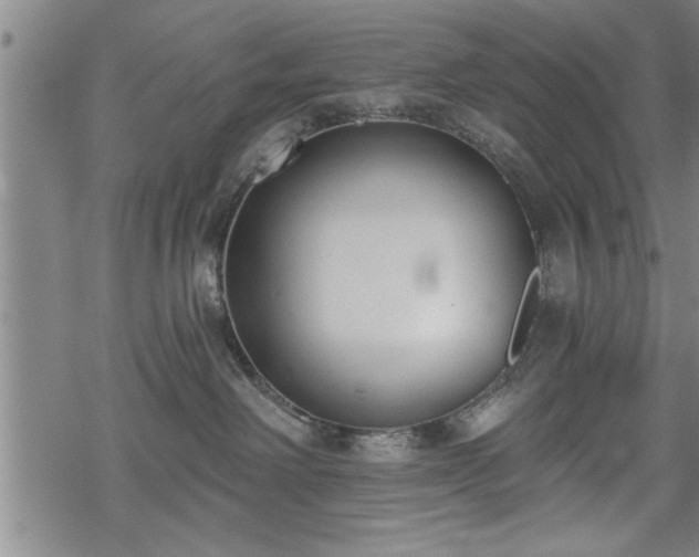 X0000069380238200605150925