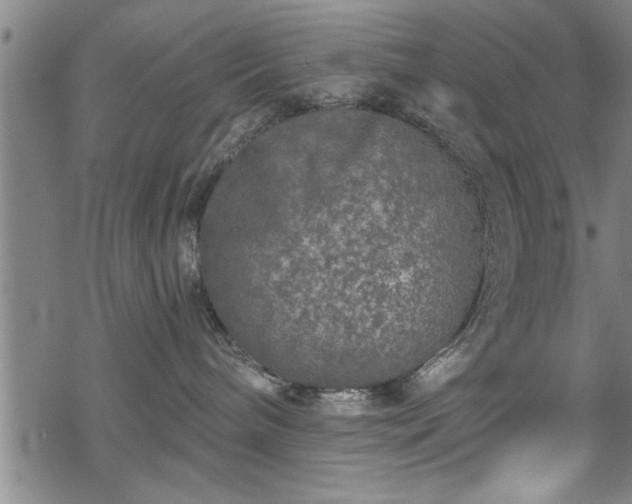 X0000069380240200605150925