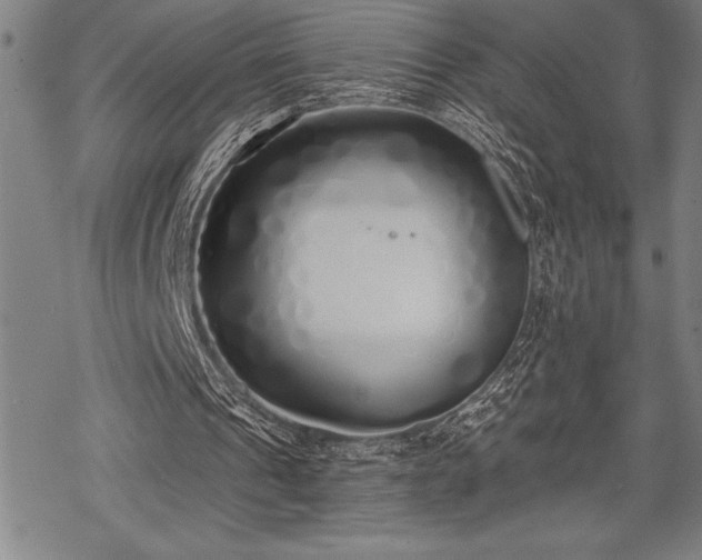 X0000069380241200605150924