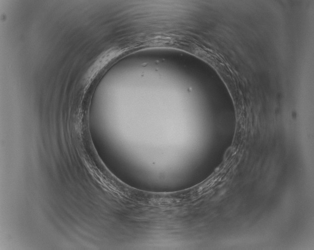 X0000069380242200605150925