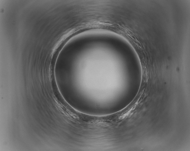 X0000069380244200605150925