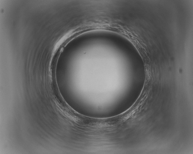 X0000069380246200605150925