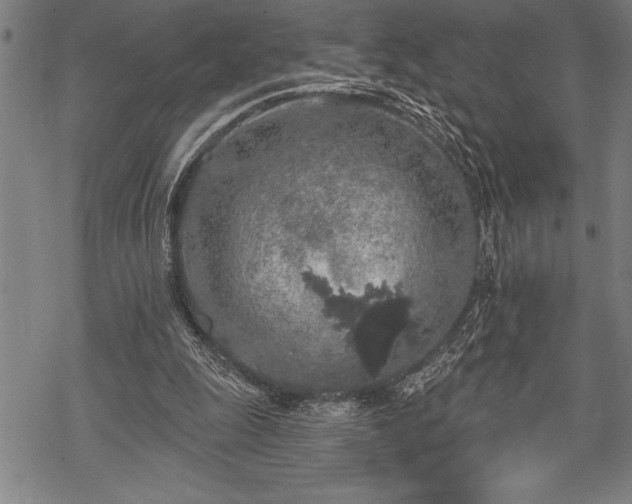 X0000069380247200605150925