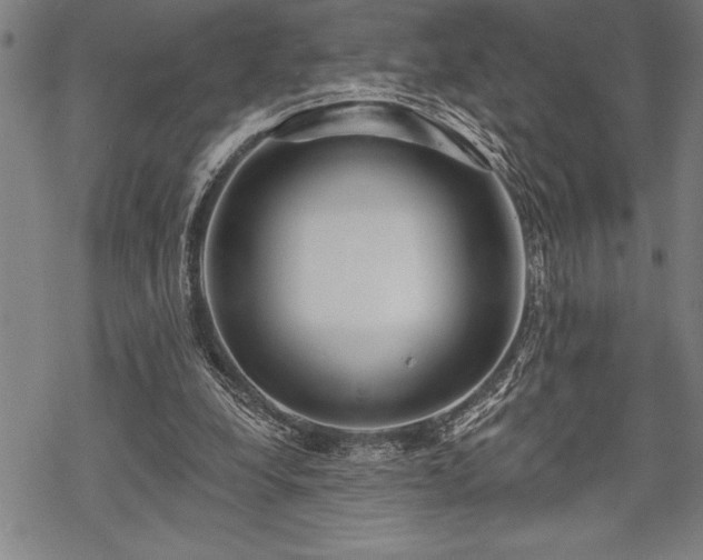 X0000069380248200605150925