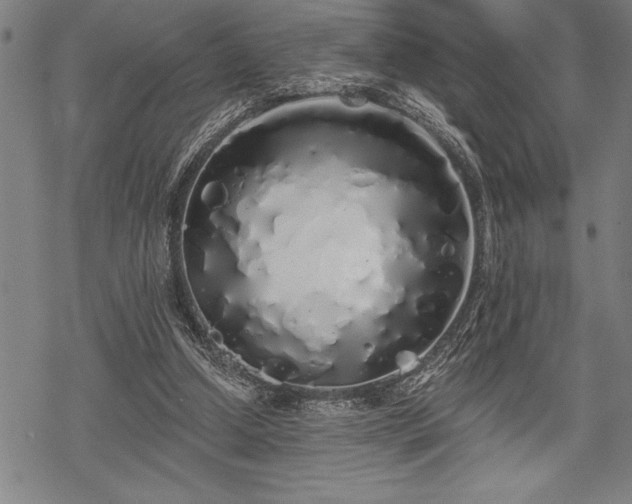 X0000069380250200605150925