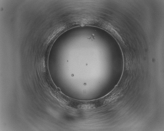 X0000069380251200605150925