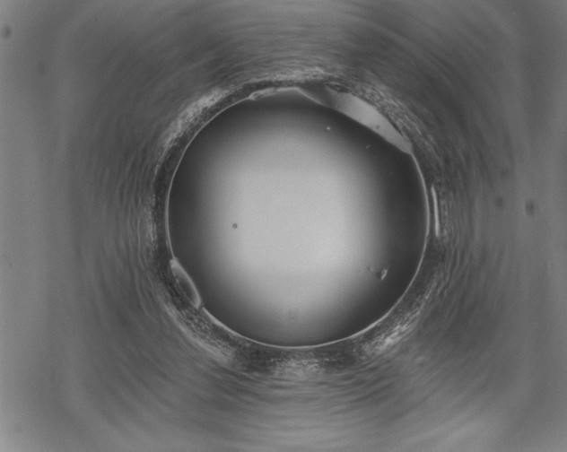 X0000069380252200605150925