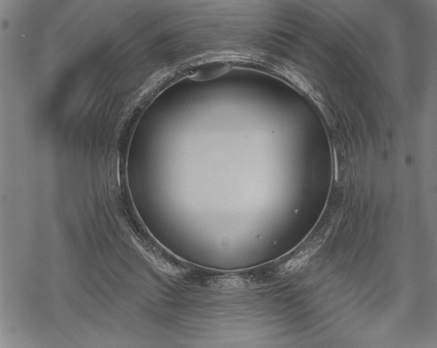 X0000069380253200605150925