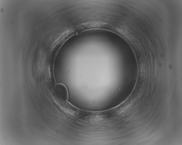 X0000069380254200605150925