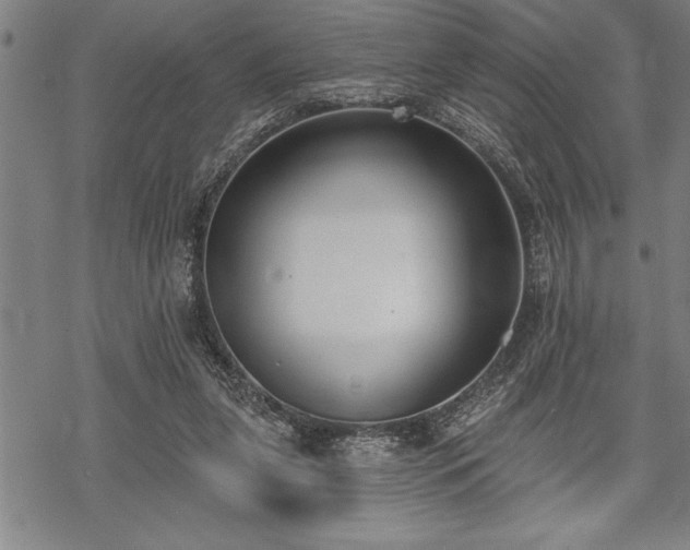 X0000069380255200605150925