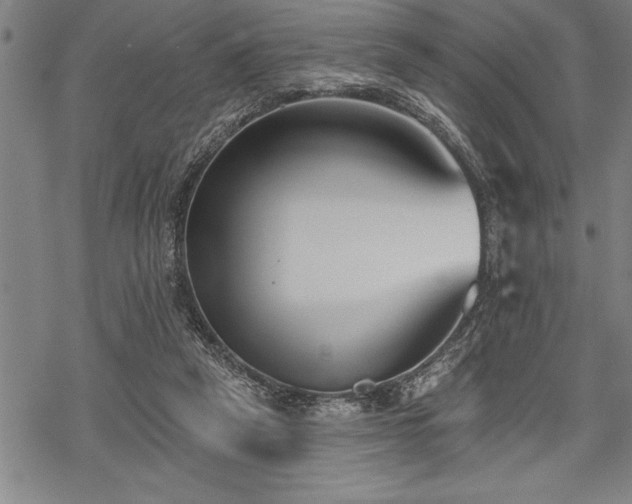 X0000069380257200605150925