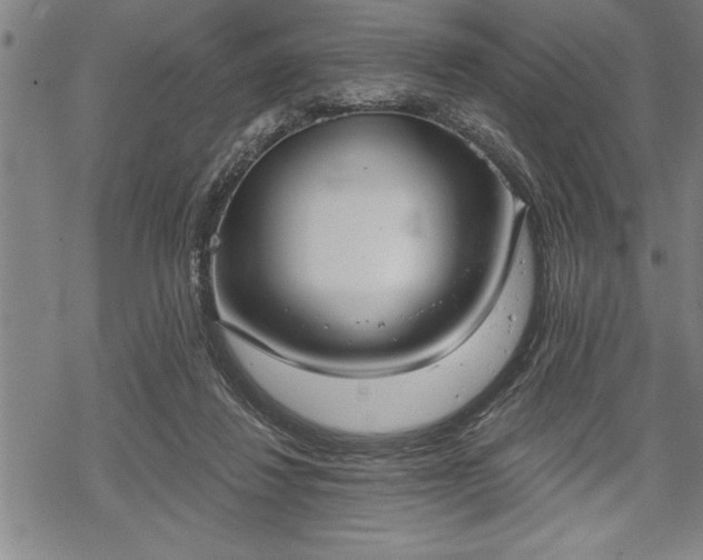 X0000069380260200605150925