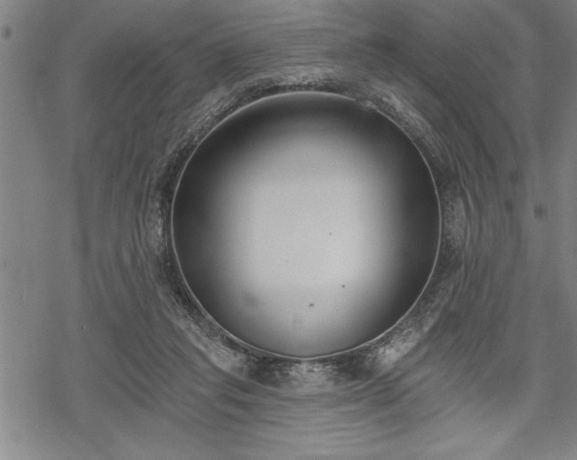 X0000069380261200605150925