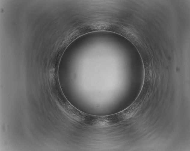 X0000069380263200605150925