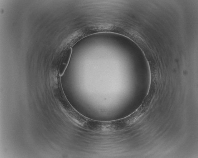 X0000069380264200605150925