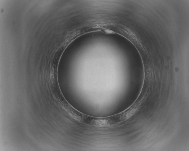 X0000069380265200605150925