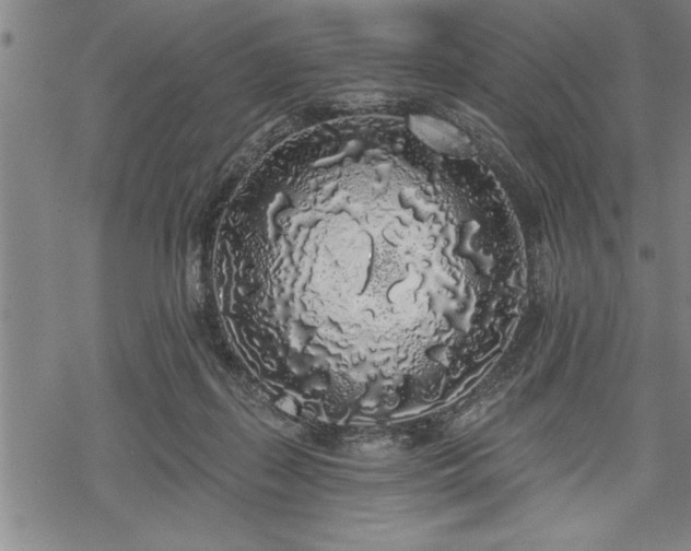 X0000069380267200605150925