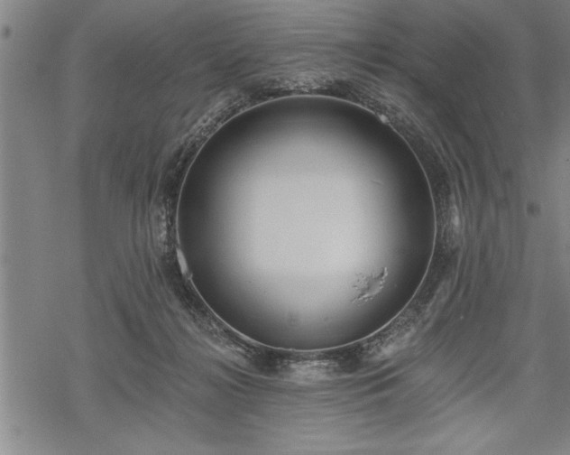 X0000069380268200605150925