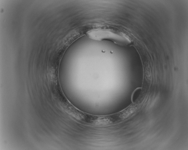 X0000069380270200605150925