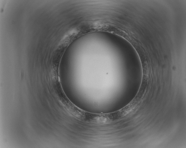 X0000069380272200605150925