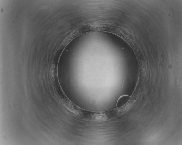 X0000069380275200605150925