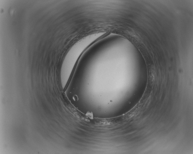 X0000069380276200605150925