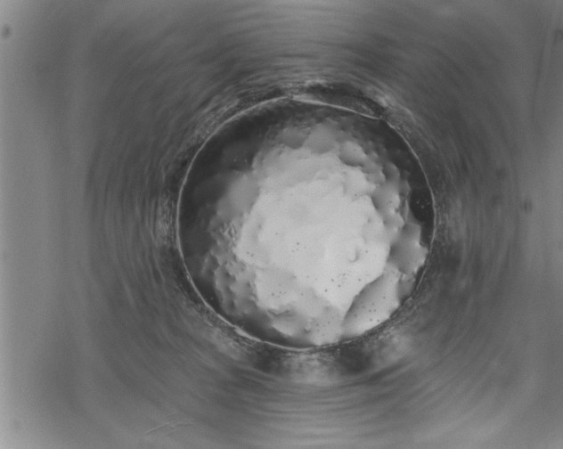 X0000069380277200605150925