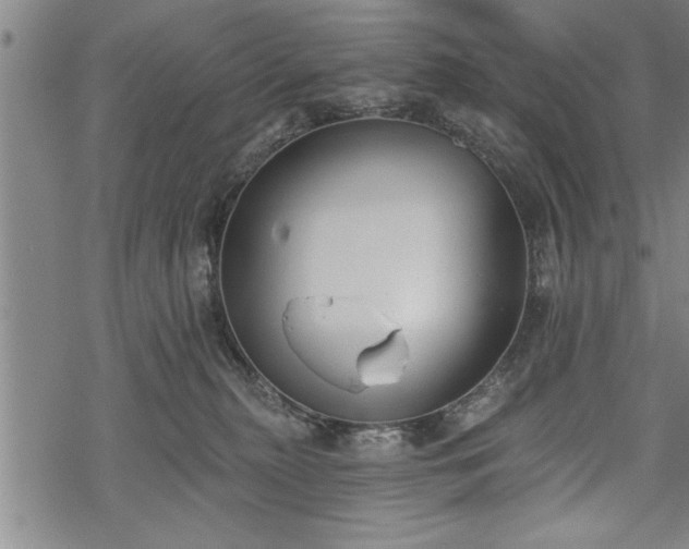 X0000069380279200605150925