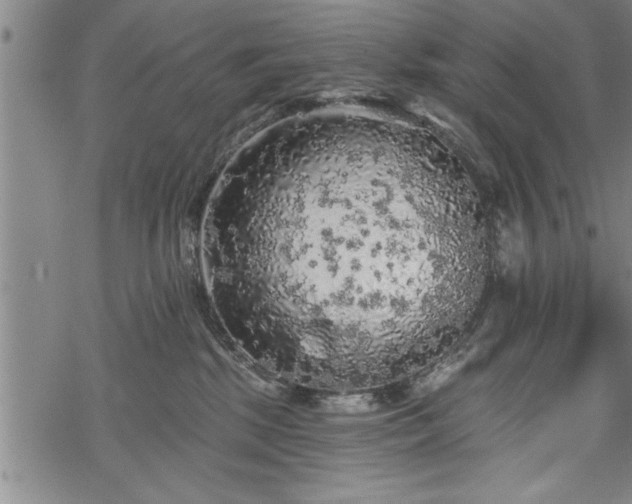 X0000069380281200605150925